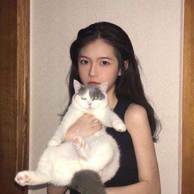 摸金天下手游下载